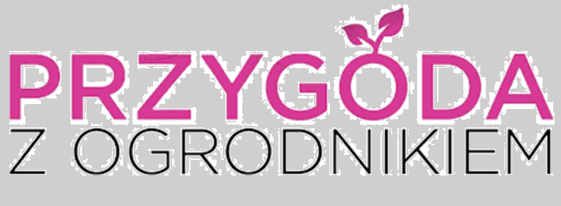 Wyjazd do teatru- zapraszamy!!!